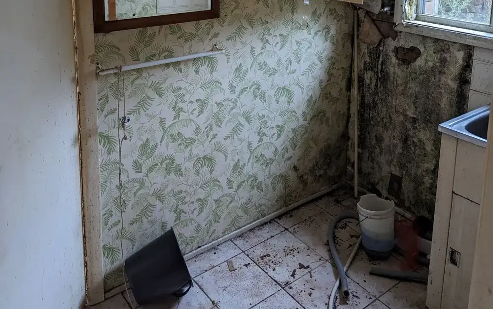 Interior of a water damaged room showing extensive mould growth
